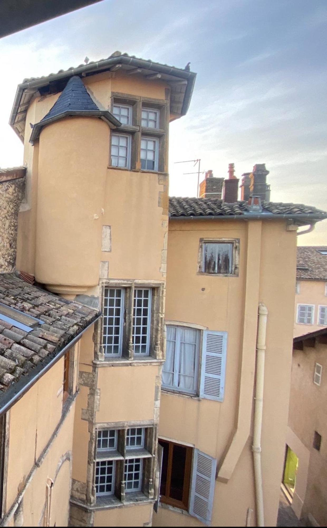 Appartements Centre Ville Villefranche-sur-Saône Kültér fotó